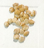 mac nuts